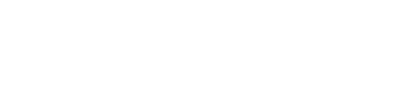 LOGO_VELO_White